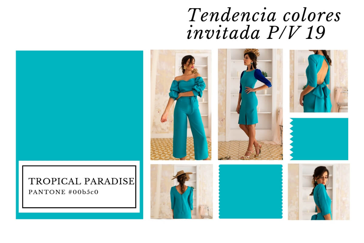 colores de moda en invitada